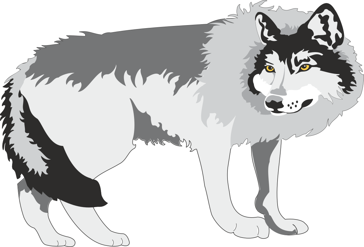 Wolf Clipart with Striking Yellow Eyes