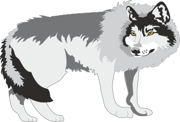 Wolf Clipart with Striking Yellow Eyes