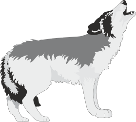 Wolf Silhouette on Black Background - Striking Clipart for Your Projects