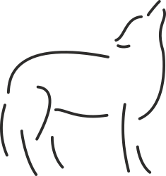 Wolf Clipart: Striking Black and White Drawing for Unique Visuals
