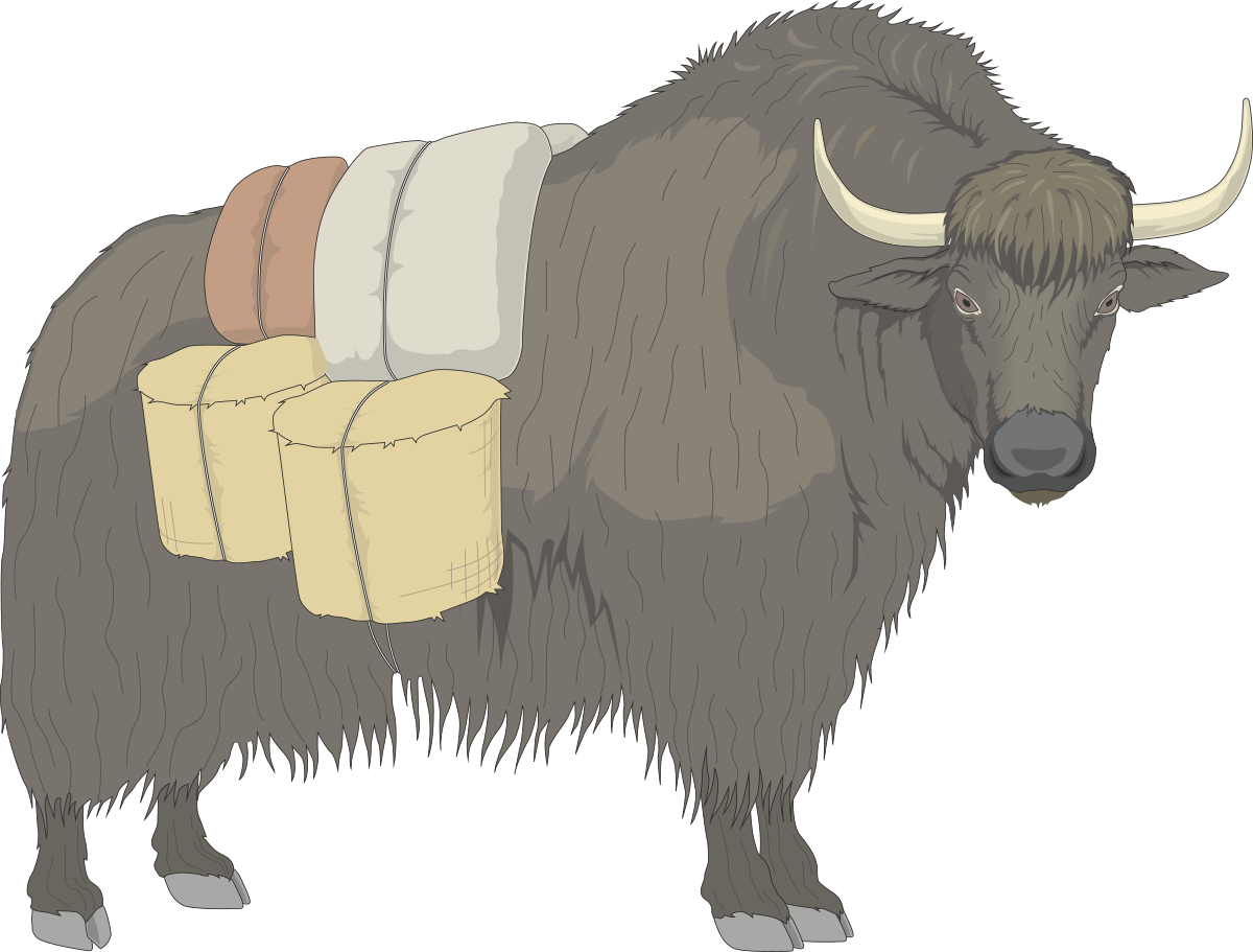 Bison with Blanket Clipart  Majestic Animal Illustration