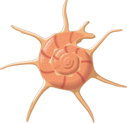 Cell Cell with Inner Cell Clipart - Perfect for Science Projects