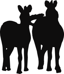 Horse Silhouettes: Captivating Equine Designs for Your Projects