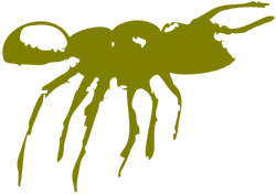 Tara Silhouette Clipart - Versatile and Elegant Design