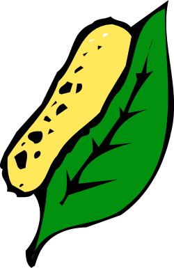 Green Leaf with Cheese Clipart - Fresh and Delicious