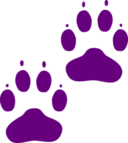 Purple Paw Print on Black Background - Perfect Clipart for Animal Lovers