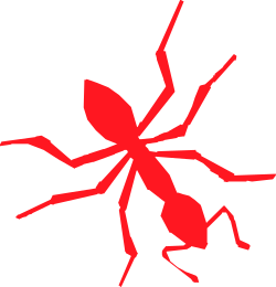 Red Spider on Black Background - Stunning Clipart for Nature Lovers