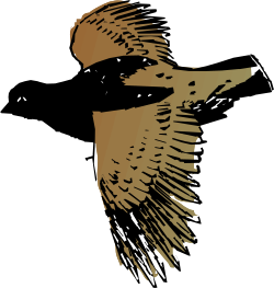 Bird with Wings Spread Out - Stunning Clipart for Your Projects