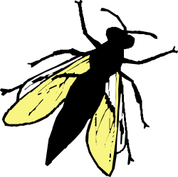 Black and Yellow Shoes Clipart - Stylish Footwear Icon