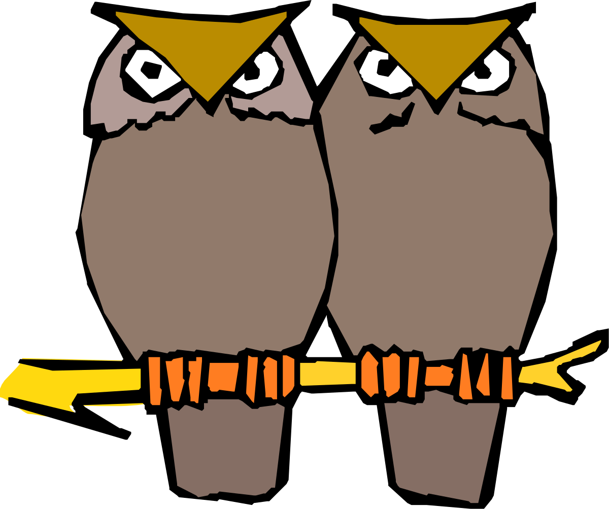 Owls Sitting on a Branch Clipart - Perfect for Nature Themes
