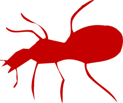 Red Ant Clipart - Vibrant and Detailed Ant Illustration