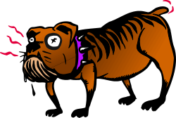 Tiger with Purple Eye on Black Background Clipart