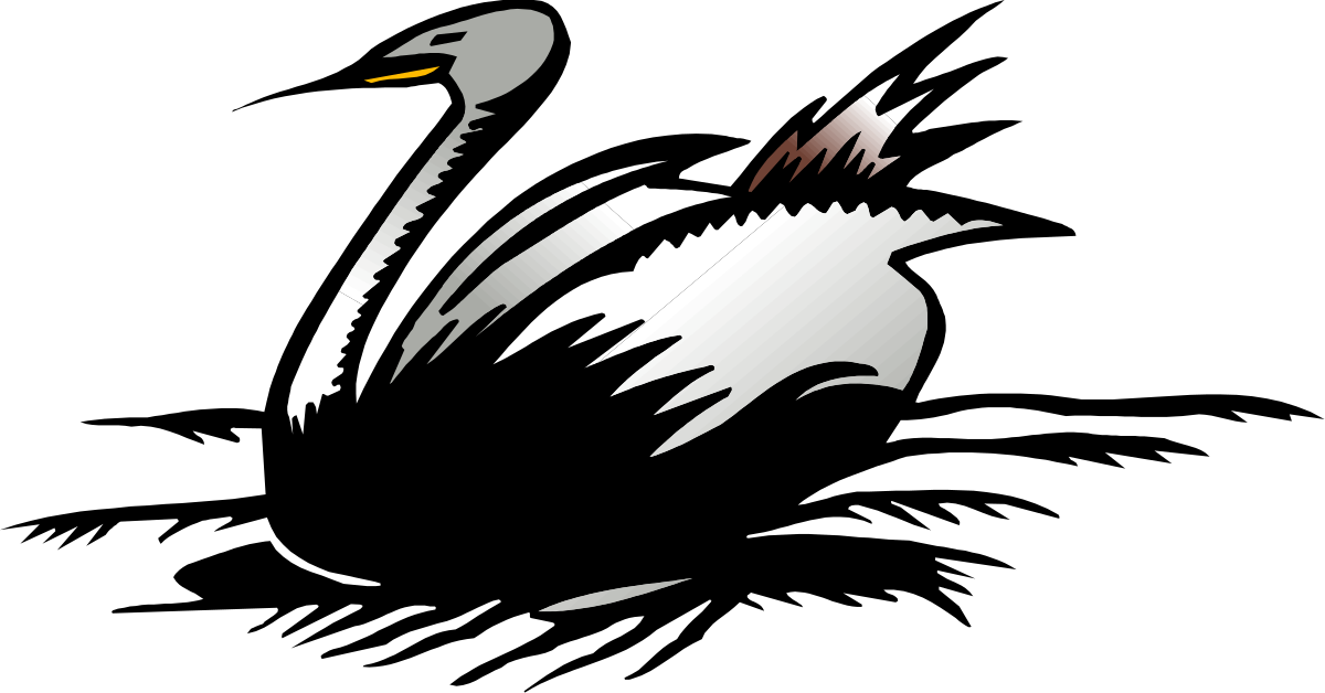 Black and White Bird with Yellow Beak - Vibrant Clipart for Creative Projects