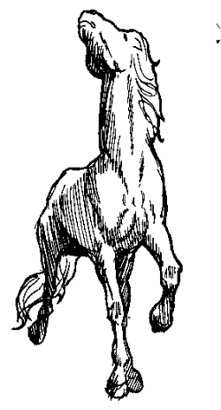 Majestic Horse with Long Mane and Tail Clipart for Creative Projects