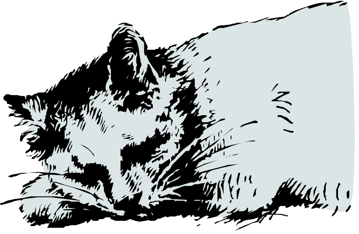 Black and White Cat Clipart: Elegant Feline Illustration