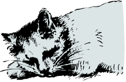 Black and White Cat Clipart: Elegant Feline Illustration