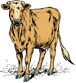 Brown Cow on Black Background Clipart