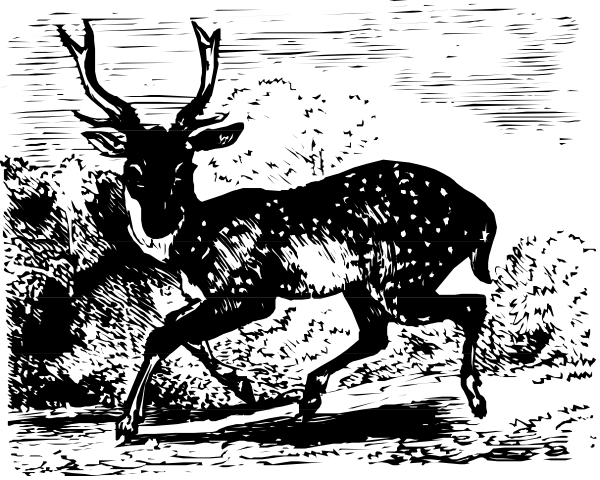 a black and white drawing of a man riding a horse clip art png transparent Black and White Horseman Clipart: Dynamic Rider and Steed