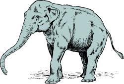 Elephant Silhouette on Black Background - Stunning Clipart Design