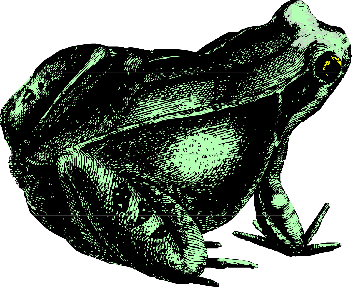 Bird on a Black Surface - Captivating Clipart Scene