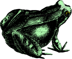 Bird on a Black Surface - Captivating Clipart Scene