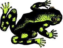 Black and Green Leopard with Yellow Eye Clipart