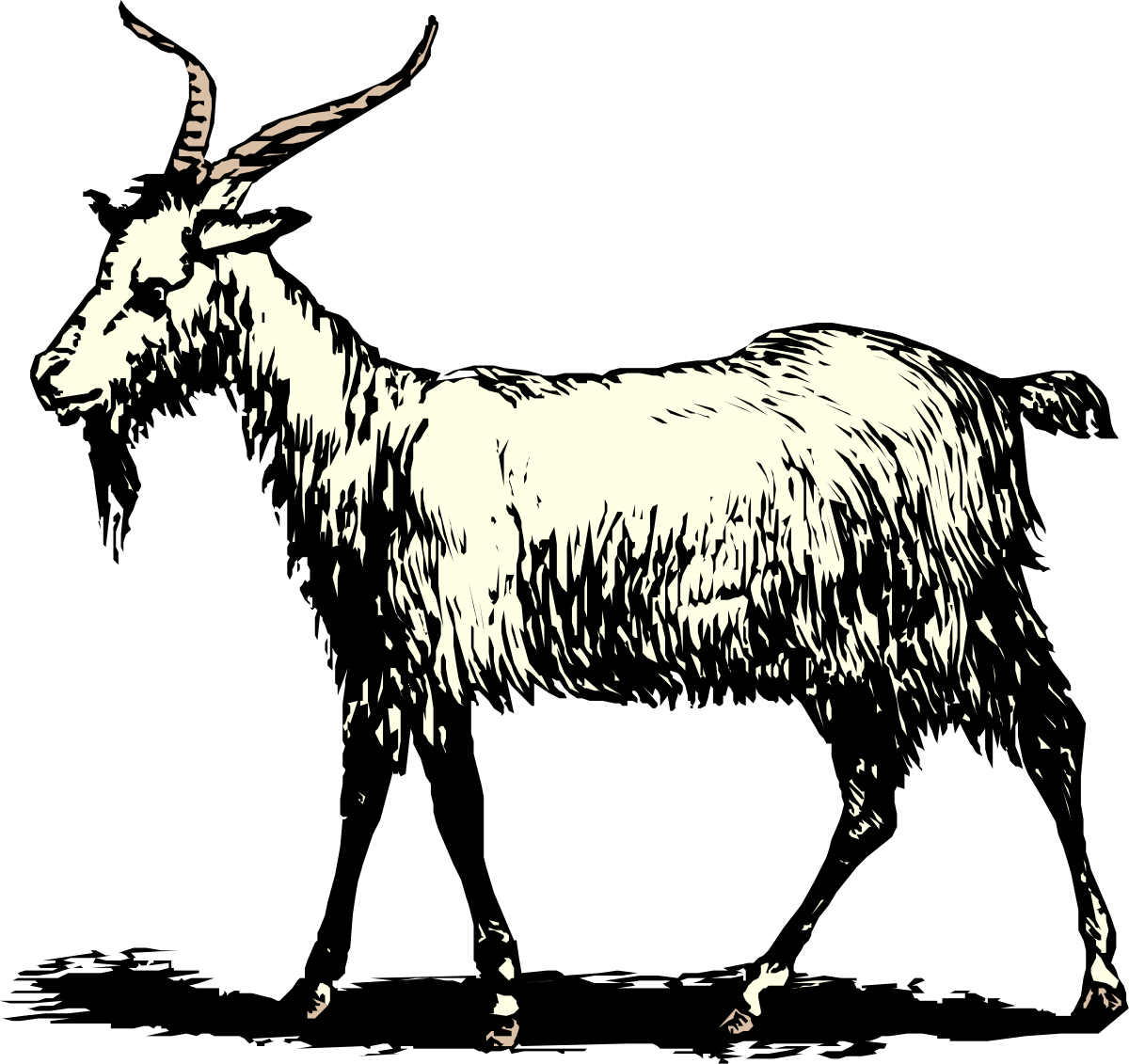 Goat Standing in Dark - Unique Clipart for Your Designs