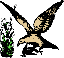 Bird Flying in Dark Sky Clipart - Stunning SVG Imagery