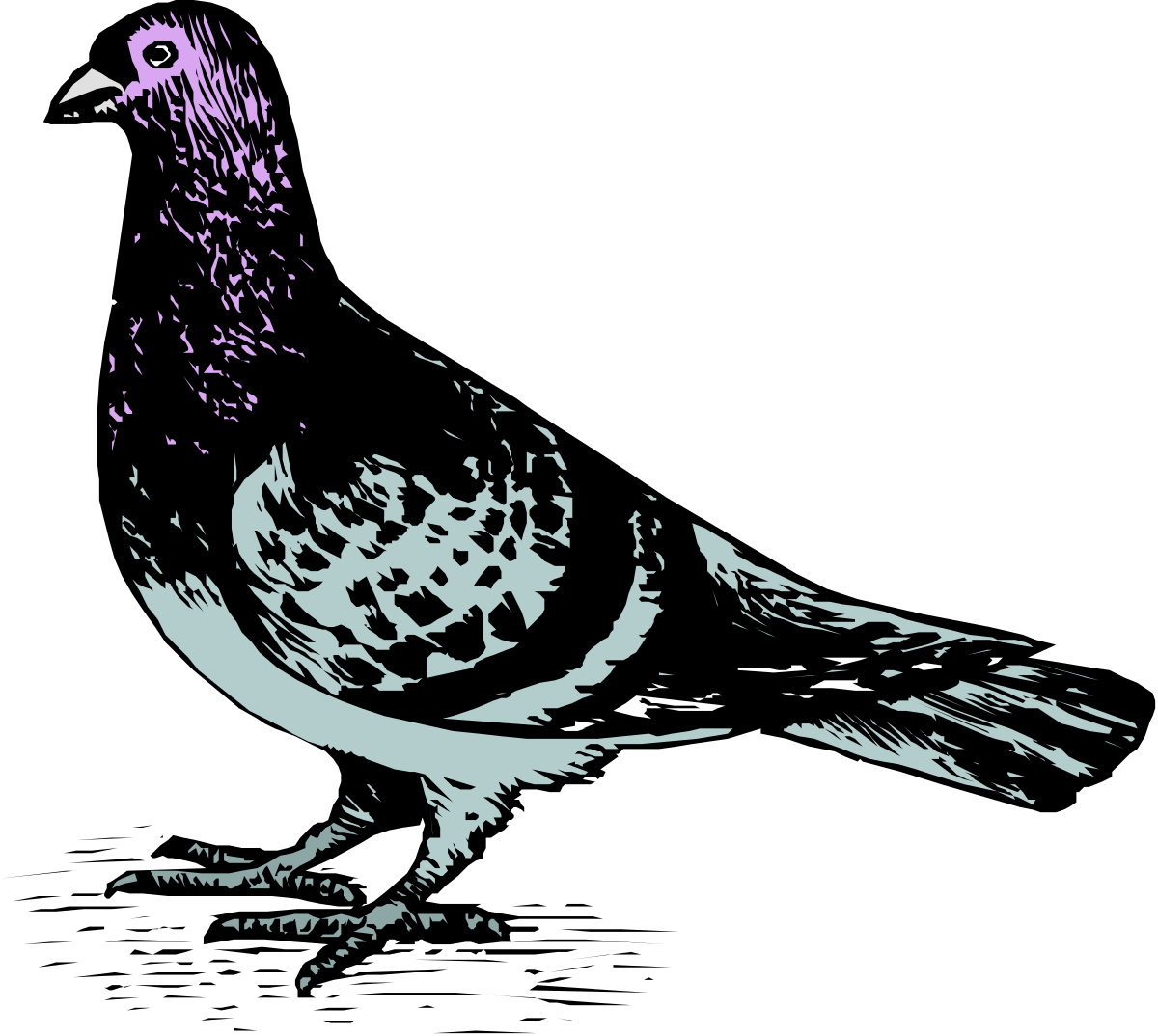 a bird sitting on a black surface clip art png transparent Bird on Black Surface Clipart - Stunning Avian Illustrations