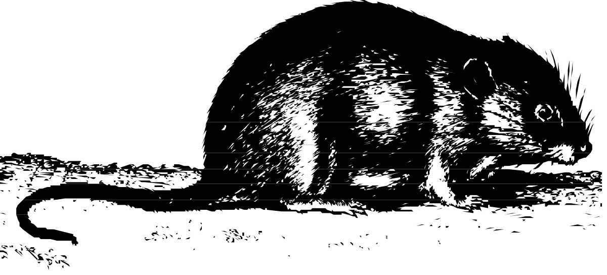 Black and White Bear Clipart for Creative Projects