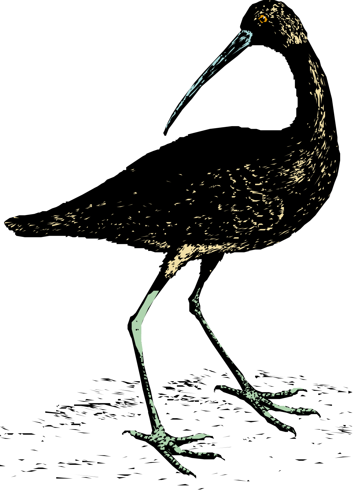 a bird is standing on a black surface clip art png transparent Bird Standing on Black Surface - Stunning Clipart for Your Projects