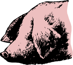 Black and White Bear Clipart on Pink Background