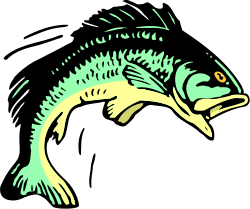 Vibrant Fish with Yellow Tail on Black Background Clipart