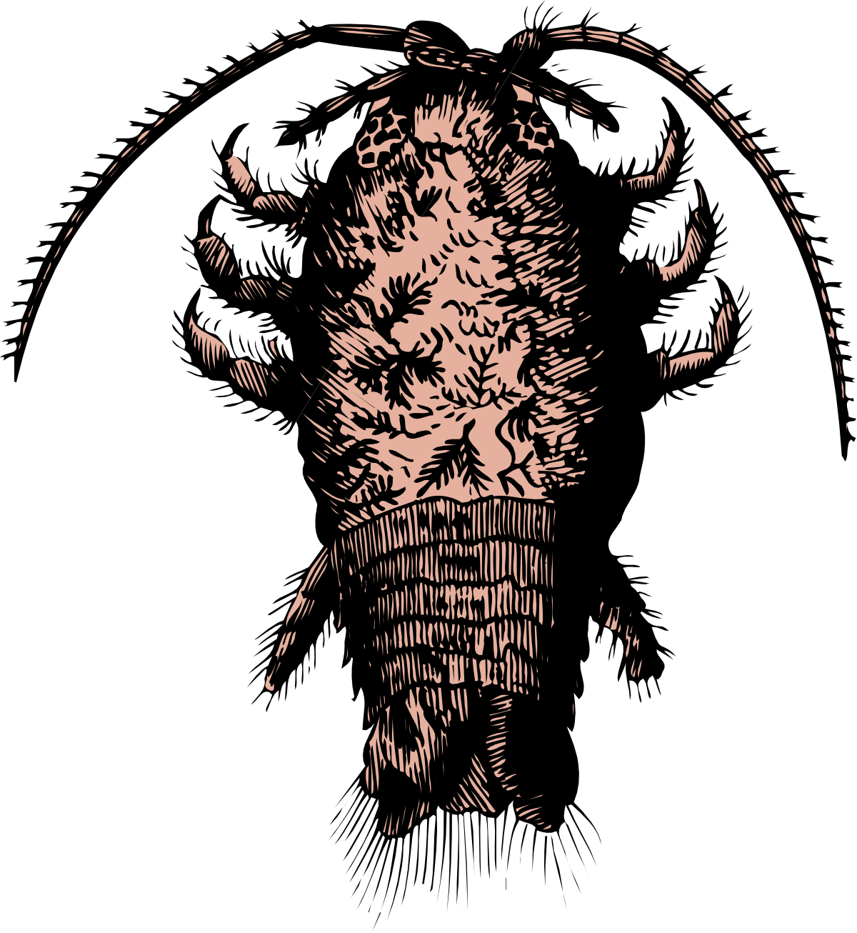 Bearded Man Clipart - Black and White Illustration for Creative Projects