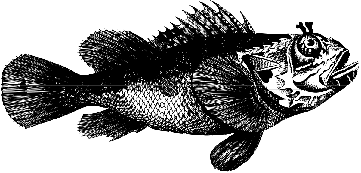 Fish with Skull on Back Clipart - Unique and Eerie Design