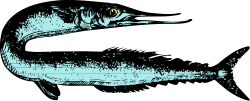 Black and White Cat Clipart Drawing for Unique Designs