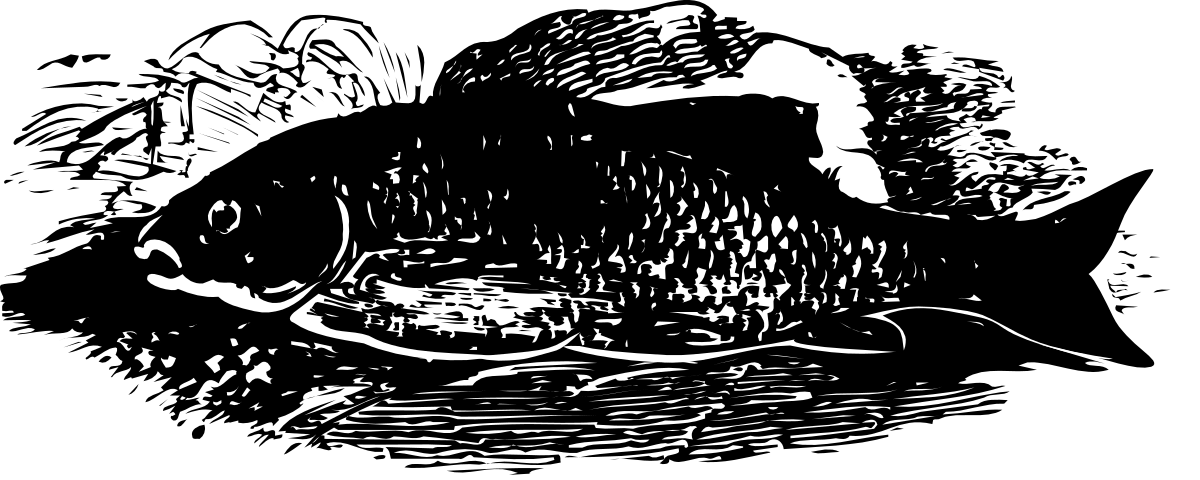 Black and White Woman Illustration for Creative Projects