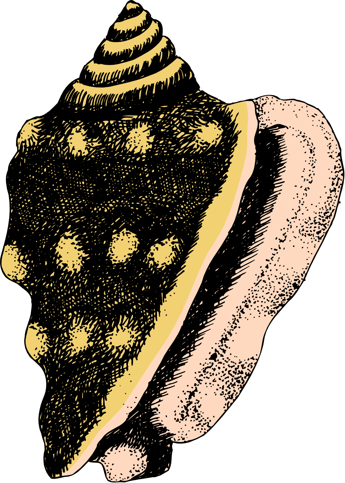 Bread Clipart: Fresh Baked Loaf for Creative Projects