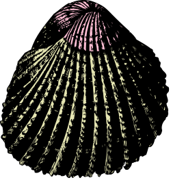 Black and White Flower Clipart - Elegant Floral Design