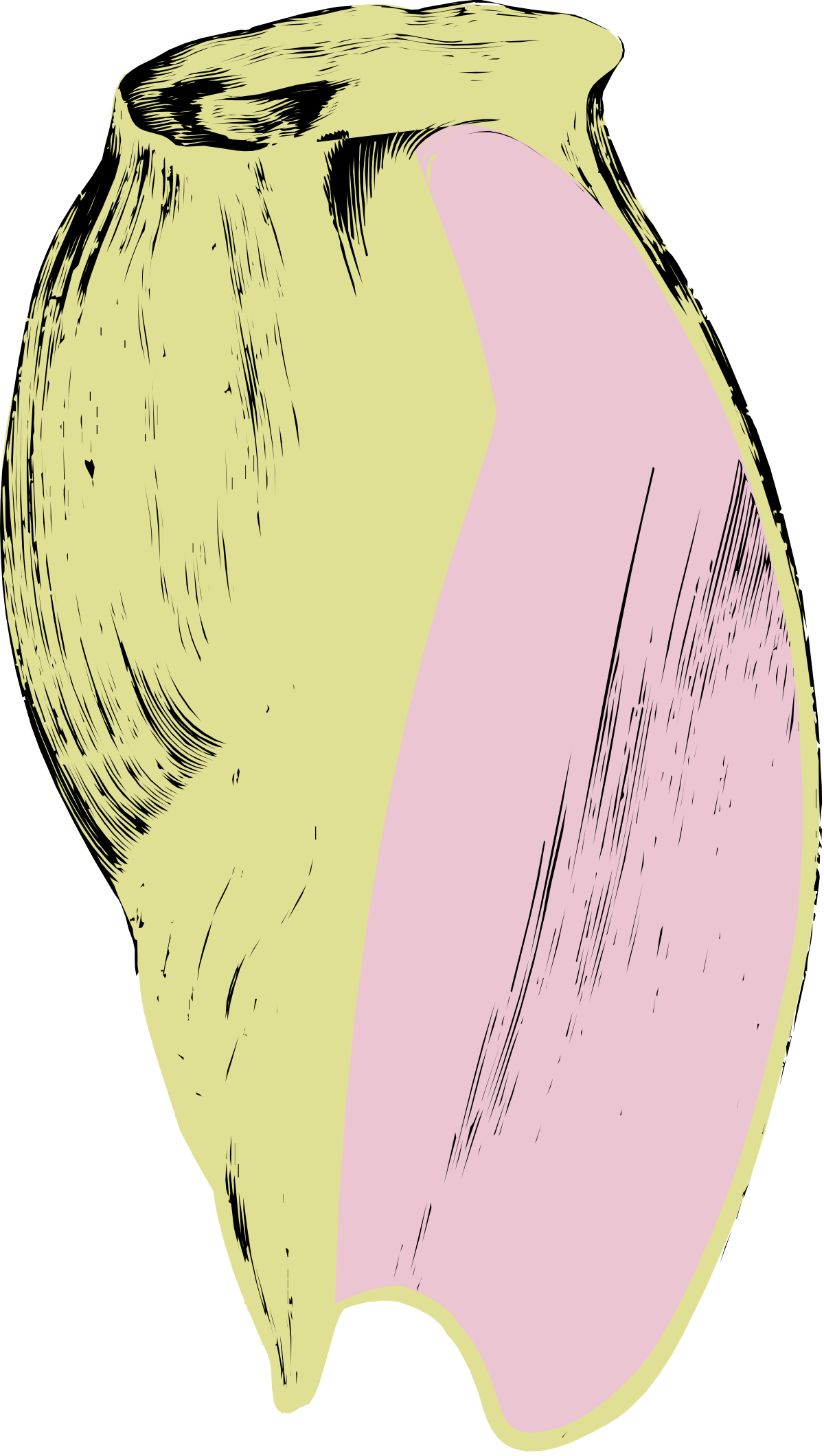 Pink and Yellow Apple Clipart - Vibrant and Playful Fruit Illustration
