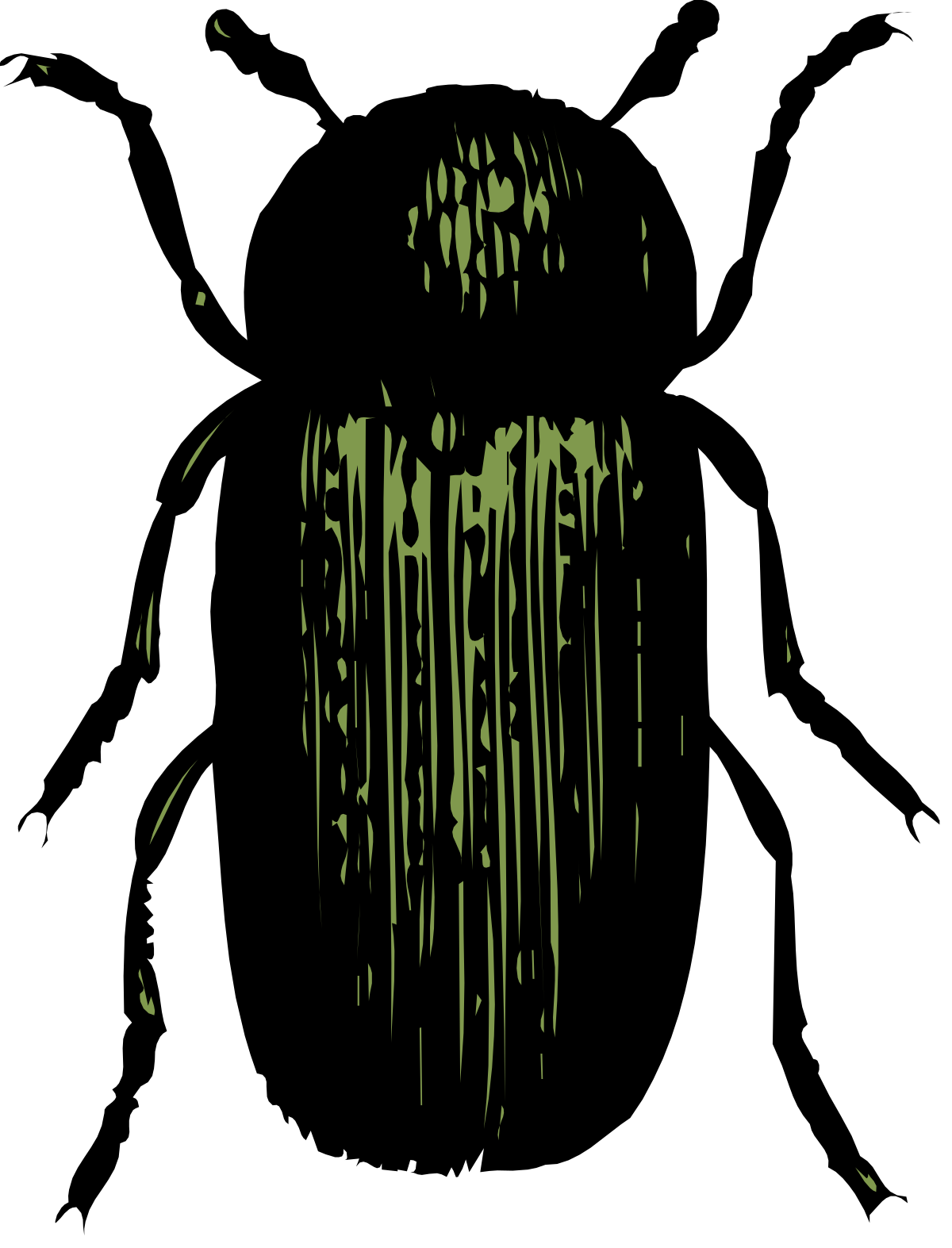 Green and Black Background Clipart for Stunning Visuals