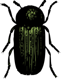 Green and Black Background Clipart for Stunning Visuals