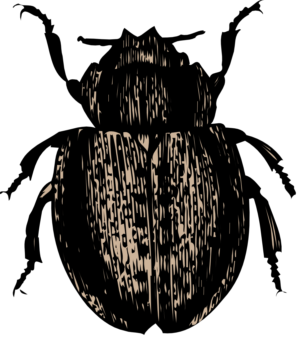 a black and white owl with a black background clip art png transparent Black and White Owl Clipart Against Dark Background
