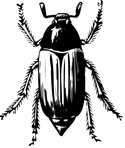 Bearded Man Clipart - Black and White Drawing for Creative Projects