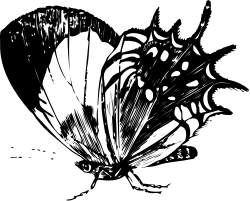 Black and White Flower Clipart Illustration for Creative Projects