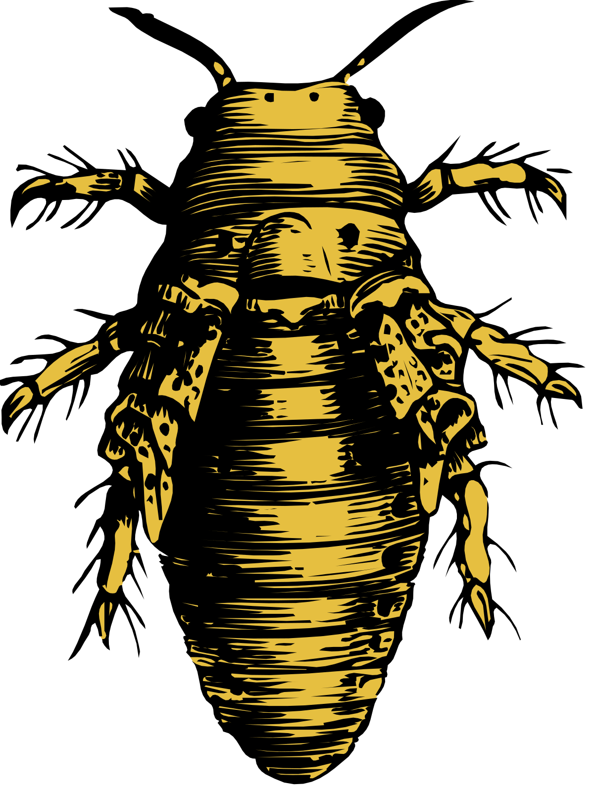 Bee Clipart - Vibrant Black and Yellow Bee Illustration for Creative Projects