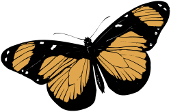 Butterfly with Orange Wings Flying in the Air - Vibrant Clipart Scene