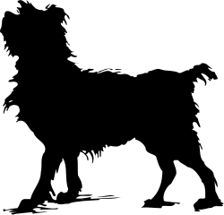 Black and White Cat in Dark Setting Clipart
