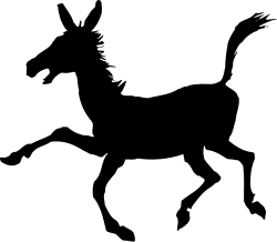 Black Background with White Circle Clipart for Versatile Design