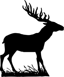 Black and White Horse Silhouette - Stunning Clipart for Your Projects